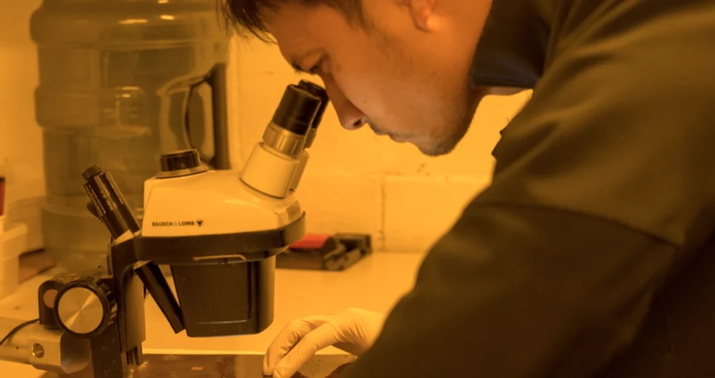 man checking on a microscope